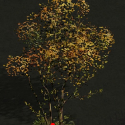ɢ��սʿPK����